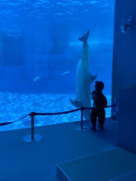 名古屋港水族館に投稿された画像（2022/5/8）