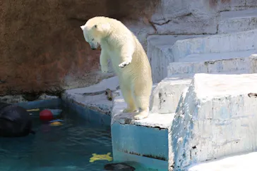 天王寺動物園に投稿された画像（2022/5/8）