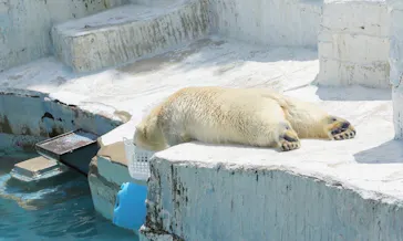 天王寺動物園に投稿された画像（2022/5/8）