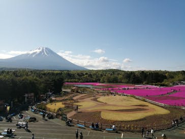 富士芝桜まつり(富士本栖湖リゾート)に投稿された画像（2022/5/8）