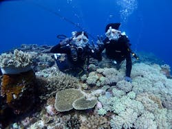 Diving Base Ishigaki-jima（ダイビングベース石垣島）に投稿された画像（2022/5/8）