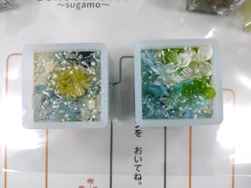 ずこうしつ〜sugamo〜に投稿された画像（2022/5/8）