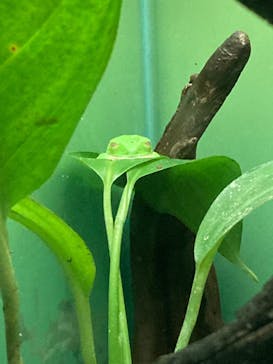 サンシャイン水族館に投稿された画像（2022/5/8）