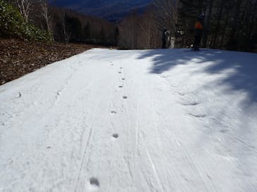 志賀高原焼額山スキー場に投稿された画像（2022/5/8）