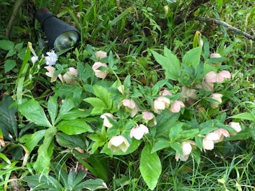 彫刻の森美術館に投稿された画像（2022/5/8）