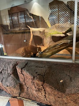 ネオパークオキナワに投稿された画像（2022/5/8）