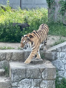 天王寺動物園に投稿された画像（2022/5/8）