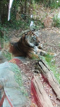 よこはま動物園ズーラシアに投稿された画像（2022/5/8）