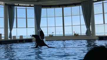 アクアワールド茨城県大洗水族館に投稿された画像（2022/5/8）