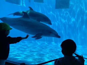 名古屋港水族館に投稿された画像（2022/5/8）