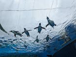 サンシャイン水族館に投稿された画像（2022/5/8）