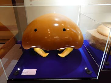 国立科学博物館　特別企画展「ポケモン化石博物館」に投稿された画像（2022/5/8）