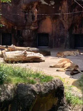 天王寺動物園に投稿された画像（2022/5/8）