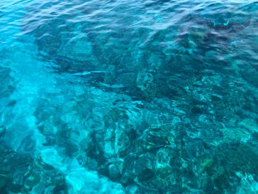 沖縄アクアマリンに投稿された画像（2022/5/8）