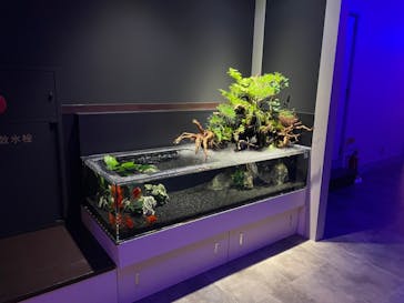 横浜開運水族館 フォーチュンアクアリウムに投稿された画像（2022/5/8）