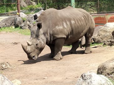 伊豆アニマルキングダムに投稿された画像（2022/5/8）