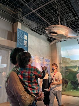 九十九島水族館海きららに投稿された画像（2022/5/8）