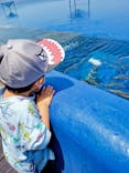 大分マリーンパレス水族館 「うみたまご」に投稿された画像（2022/5/8）