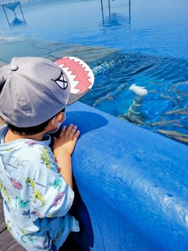 大分マリーンパレス水族館 「うみたまご」に投稿された画像（2022/5/8）