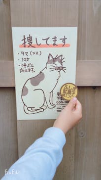 西武園ゆうえんちに投稿された画像（2022/5/8）