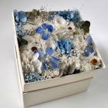 ずこうしつ〜sugamo〜に投稿された画像（2022/5/8）