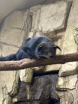 那須どうぶつ王国に投稿された画像（2022/5/8）