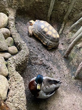 那須どうぶつ王国に投稿された画像（2022/5/8）