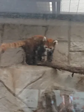 天王寺動物園に投稿された画像（2022/5/8）