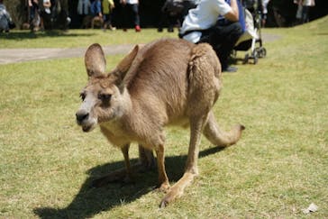 長崎バイオパークに投稿された画像（2022/5/8）