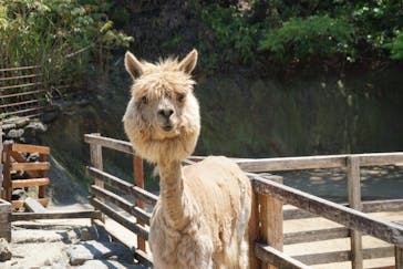 長崎バイオパークに投稿された画像（2022/5/8）