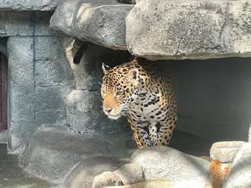 天王寺動物園に投稿された画像（2022/5/8）