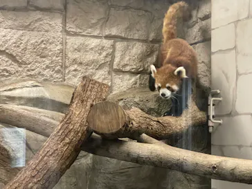 天王寺動物園に投稿された画像（2022/5/8）