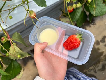 いちごはうす西脇に投稿された画像（2022/5/8）