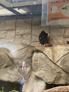 天王寺動物園に投稿された画像（2022/5/8）