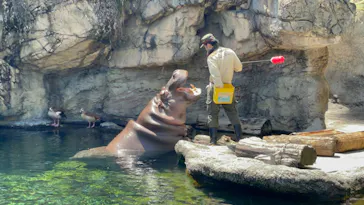 天王寺動物園に投稿された画像（2022/5/8）