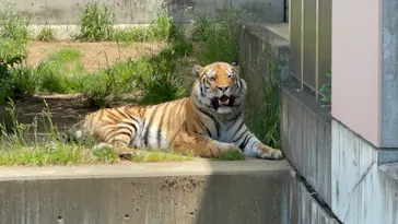 天王寺動物園に投稿された画像（2022/5/8）