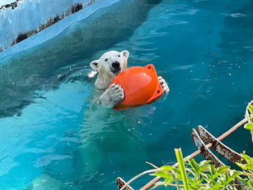 天王寺動物園に投稿された画像（2022/5/8）
