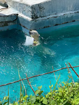 天王寺動物園に投稿された画像（2022/5/8）