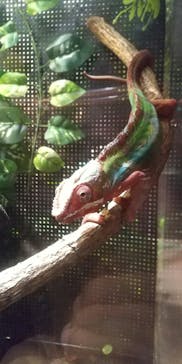 カワスイ 川崎⽔族館に投稿された画像（2022/5/8）