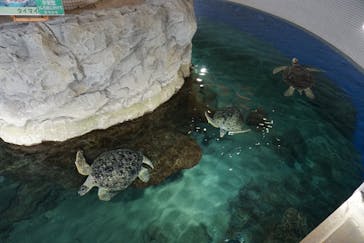 名古屋港水族館に投稿された画像（2022/5/8）