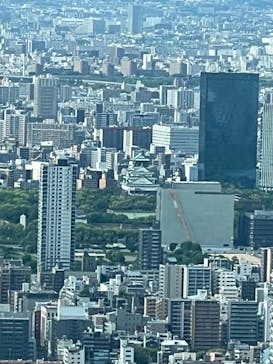 ハルカス300(展望台)に投稿された画像（2022/5/8）