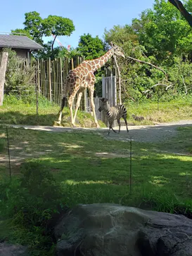 天王寺動物園に投稿された画像（2022/5/8）