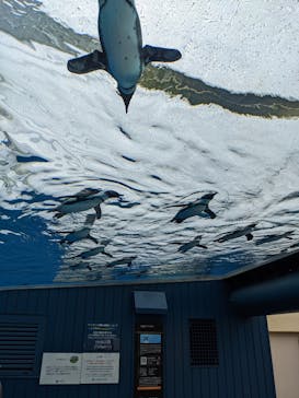 サンシャイン水族館に投稿された画像（2022/5/8）