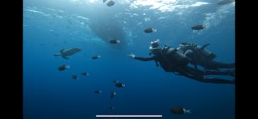 青の洞窟専門店　沖縄ダイビングショップ和に投稿された画像（2022/5/8）