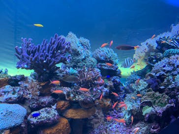 サンシャイン水族館に投稿された画像（2022/5/8）