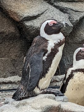 サンシャイン水族館に投稿された画像（2022/5/8）