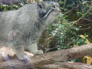 神戸どうぶつ王国に投稿された画像（2022/5/8）