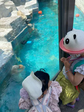 天王寺動物園に投稿された画像（2022/5/8）