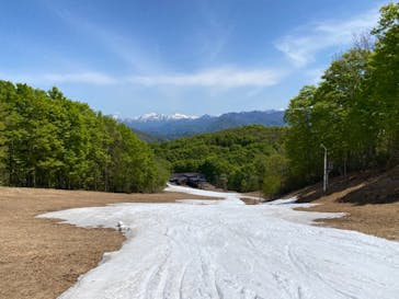 Hakuba47ウィンタースポーツパークに投稿された画像（2022/5/8）