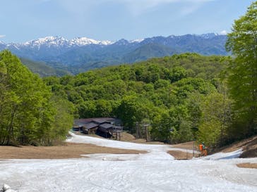 Hakuba47ウィンタースポーツパークに投稿された画像（2022/5/8）